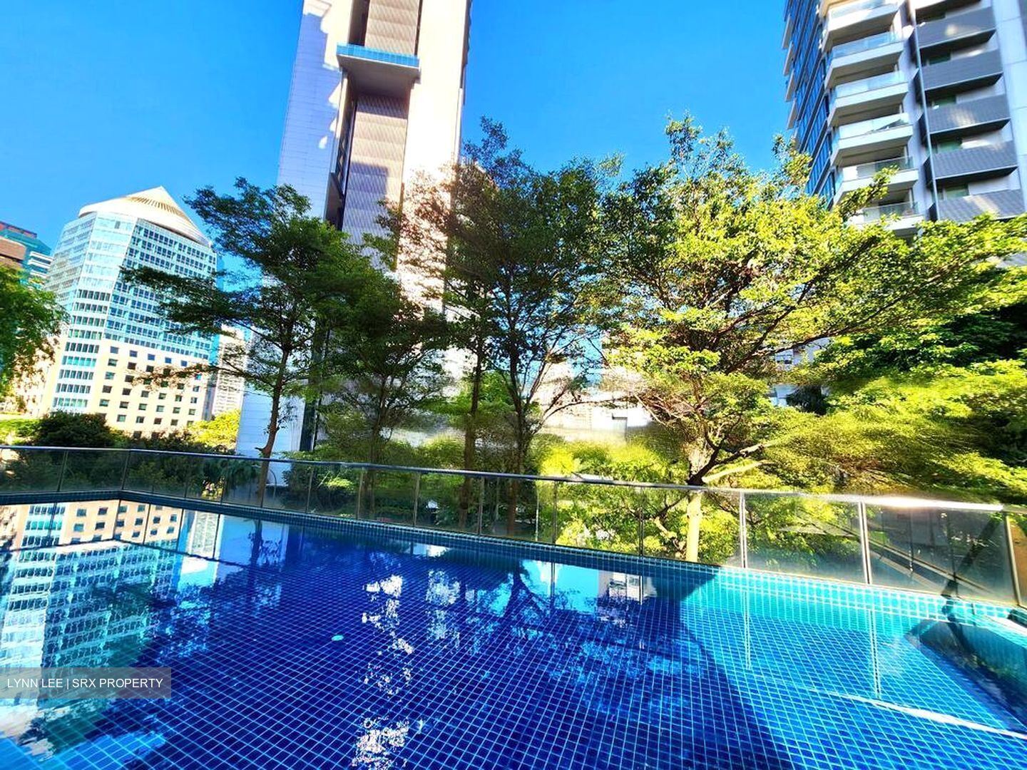 Angullia Park Residences @ Orchard (D10), Apartment #467711071